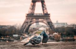 Réserver un hôtel pas cher à Paris